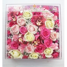 Splendeur Box: Belle